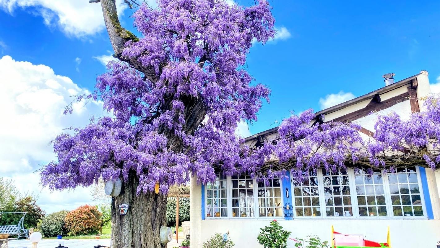 Vente Maison à Montpezat-de-Quercy 10 pièces