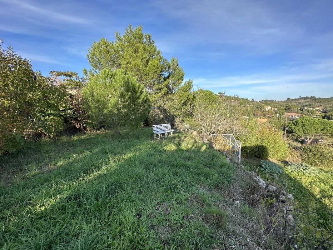 Vente Terrain à Caunes-Minervois 0 pièce