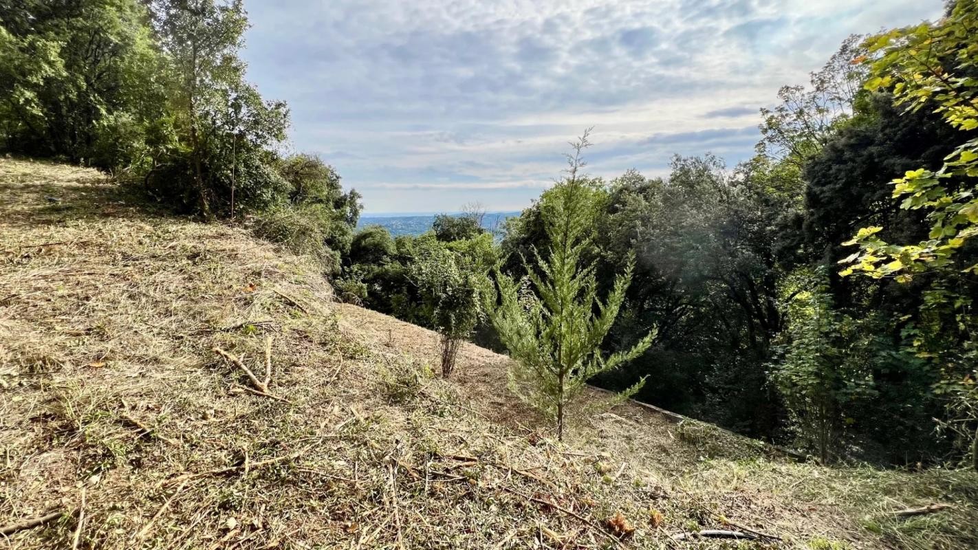 Vente Terrain à Grasse 0 pièce