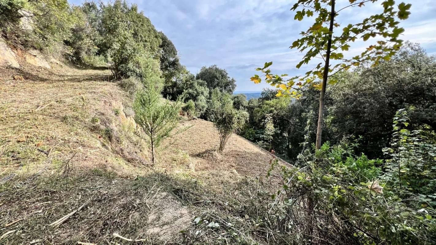 Vente Terrain à Grasse 0 pièce