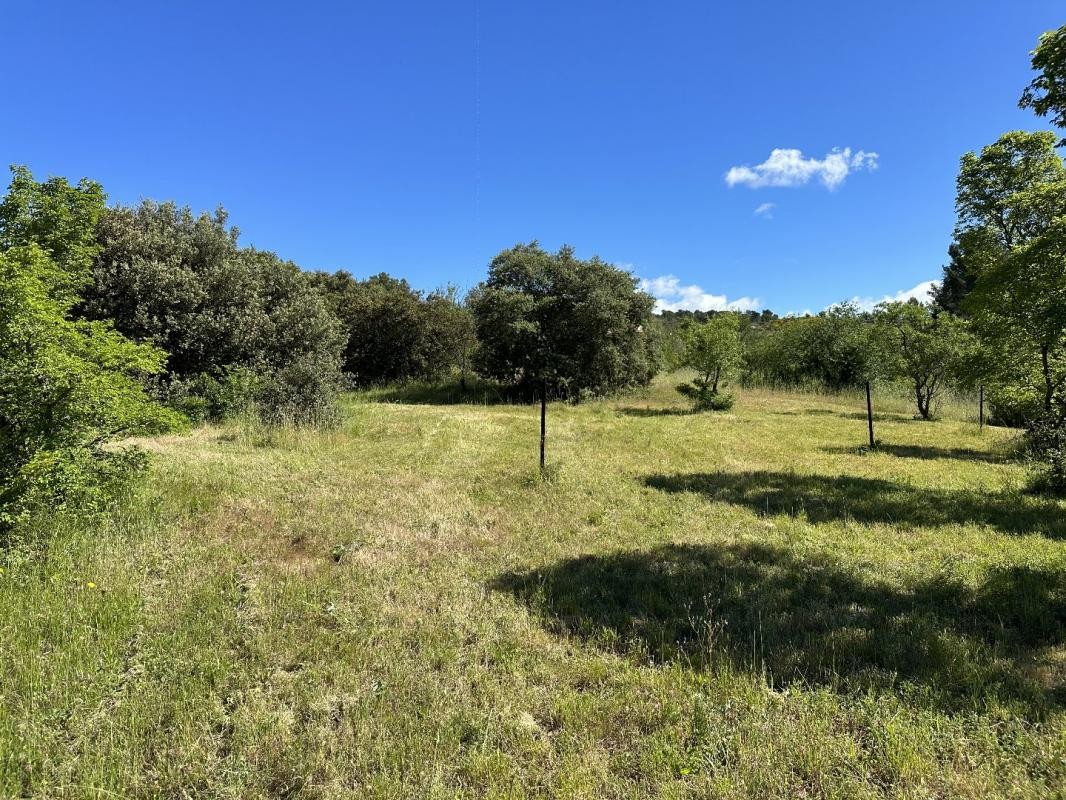 Vente Terrain à Caunes-Minervois 0 pièce