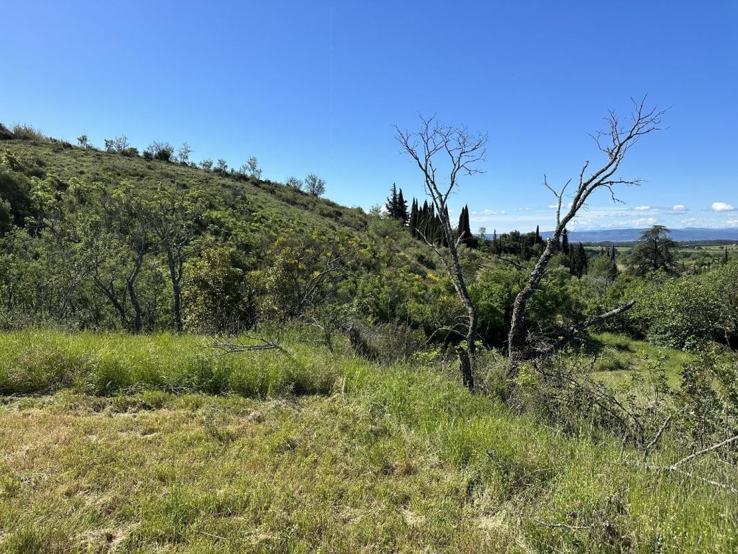 Vente Terrain à Caunes-Minervois 0 pièce