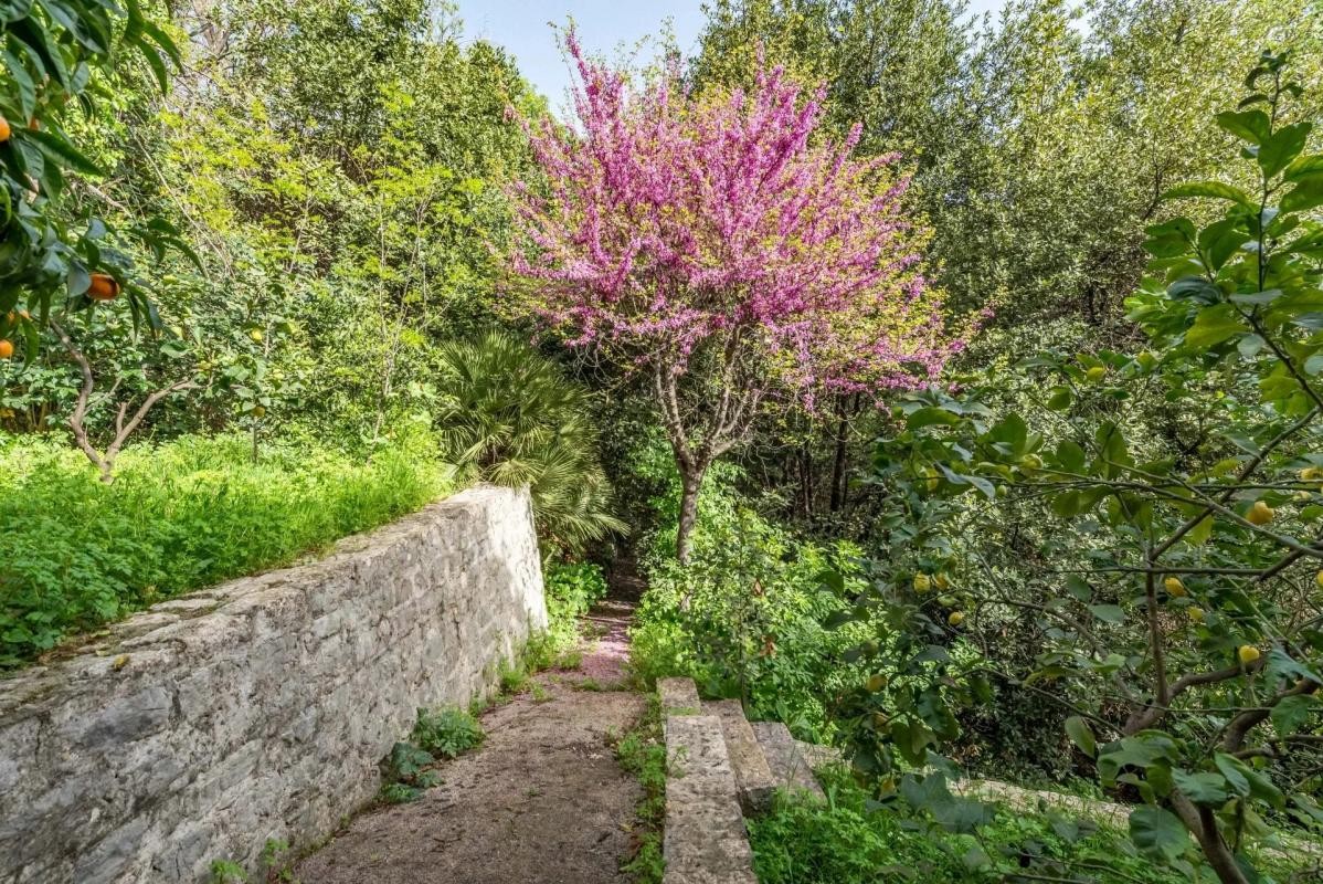 Vente Maison à Grasse 8 pièces