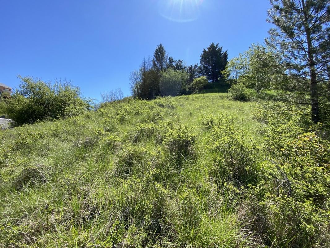 Vente Terrain à Onet-le-Château 0 pièce