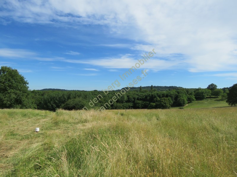 Vente Terrain à Juillac 0 pièce