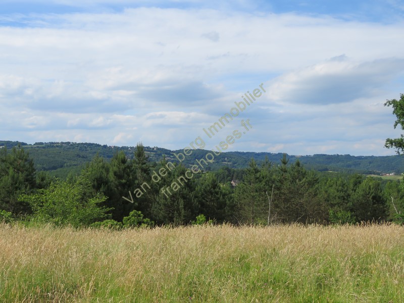 Vente Terrain à Juillac 0 pièce