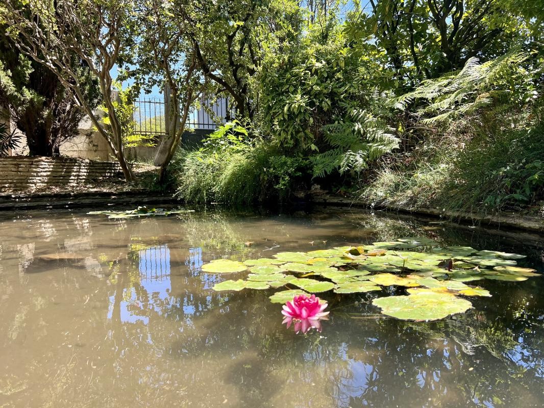 Vente Maison à Carcassonne 11 pièces