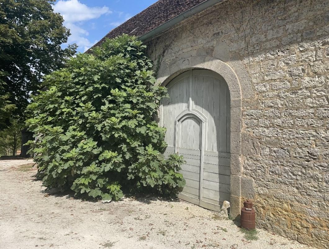 Vente Maison à Martel 10 pièces