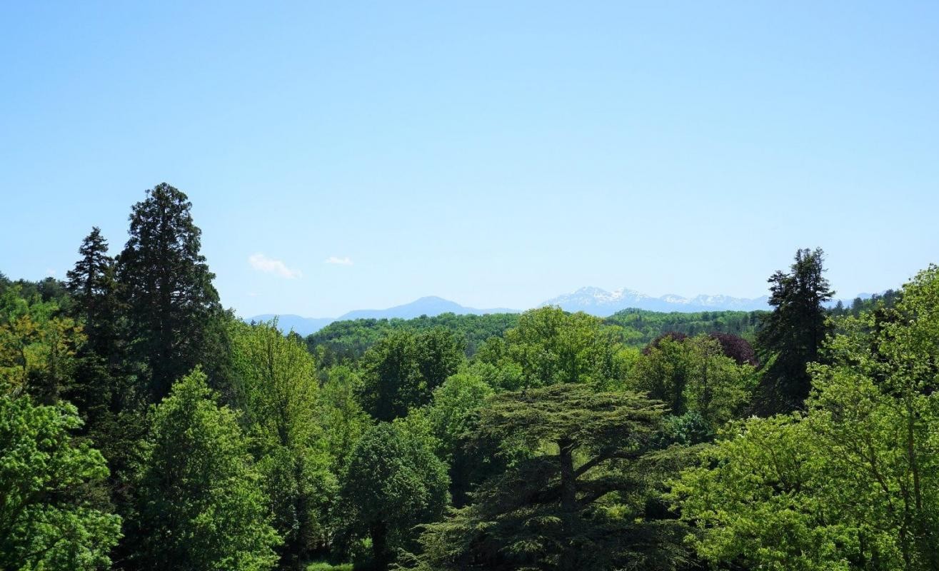 Vente Maison à Mirepoix 5 pièces