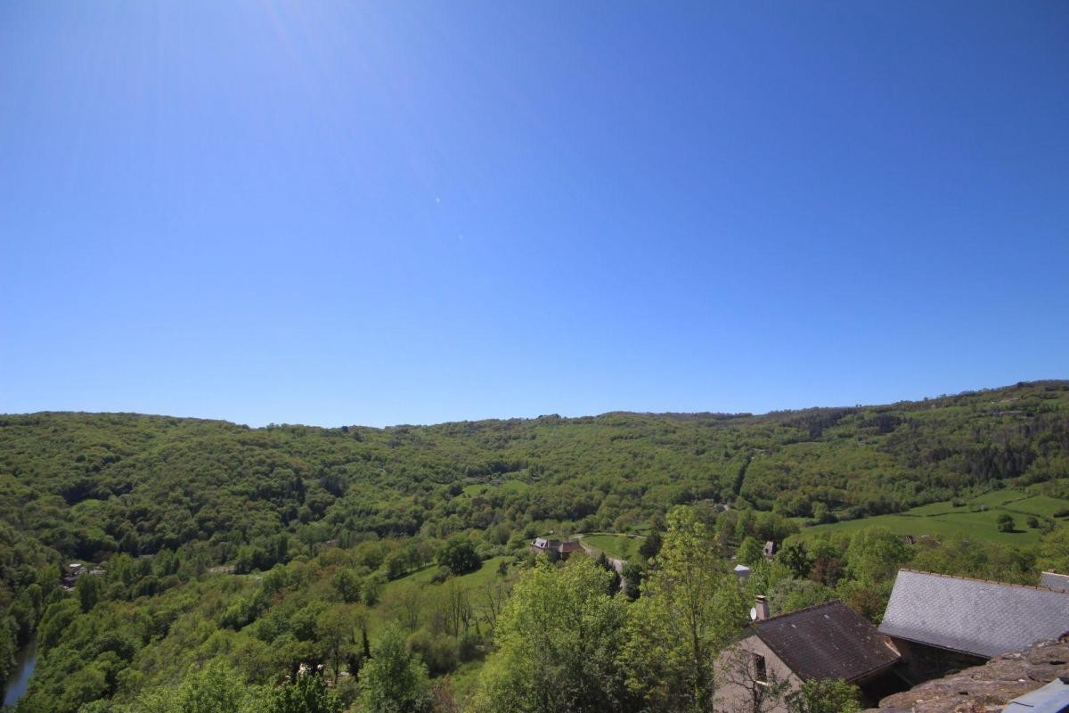 Vente Maison à Najac 10 pièces