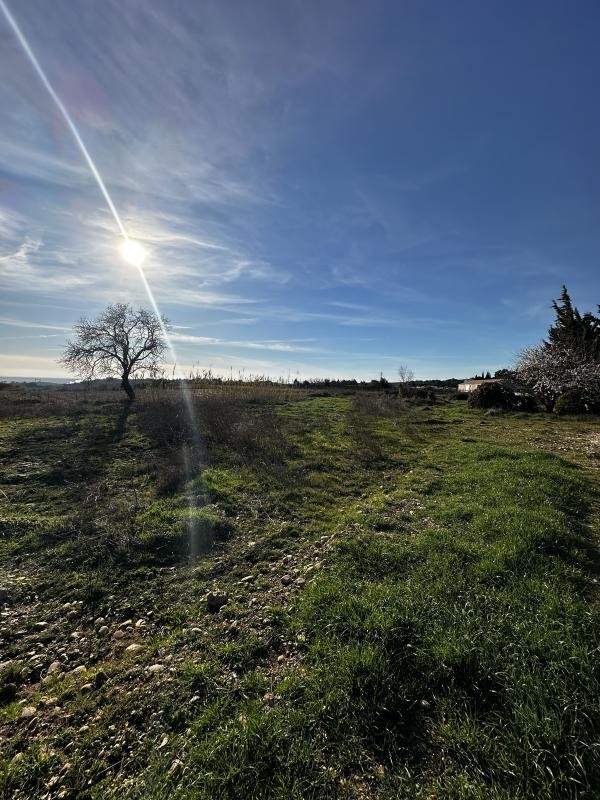 Vente Terrain à Sénas 0 pièce