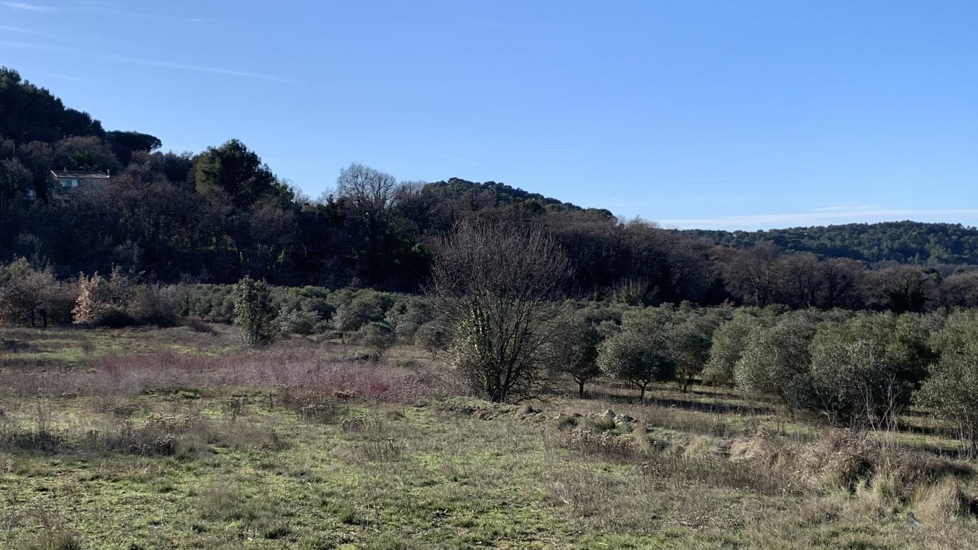 Vente Terrain à Vaison-la-Romaine 0 pièce