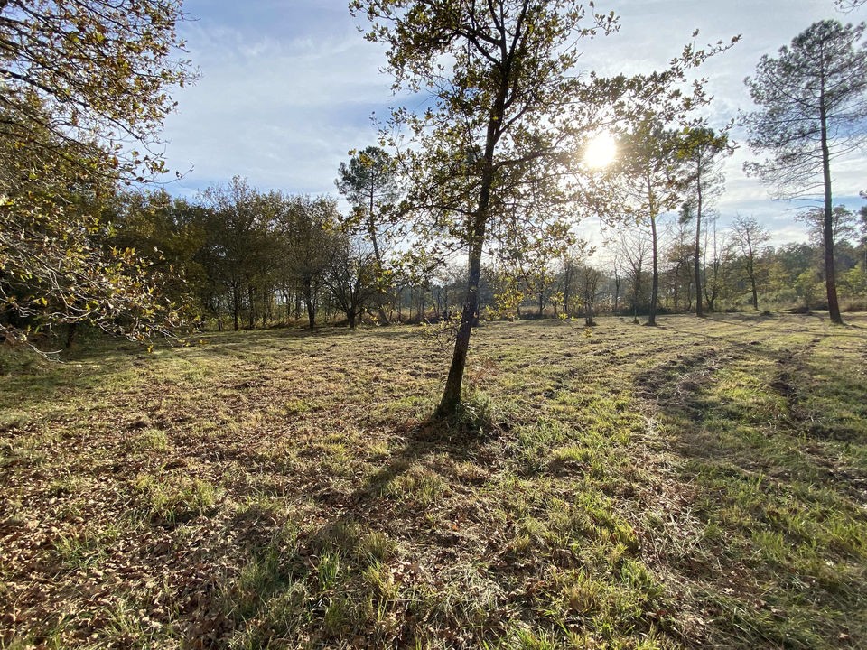 Vente Maison à Gabarret 6 pièces