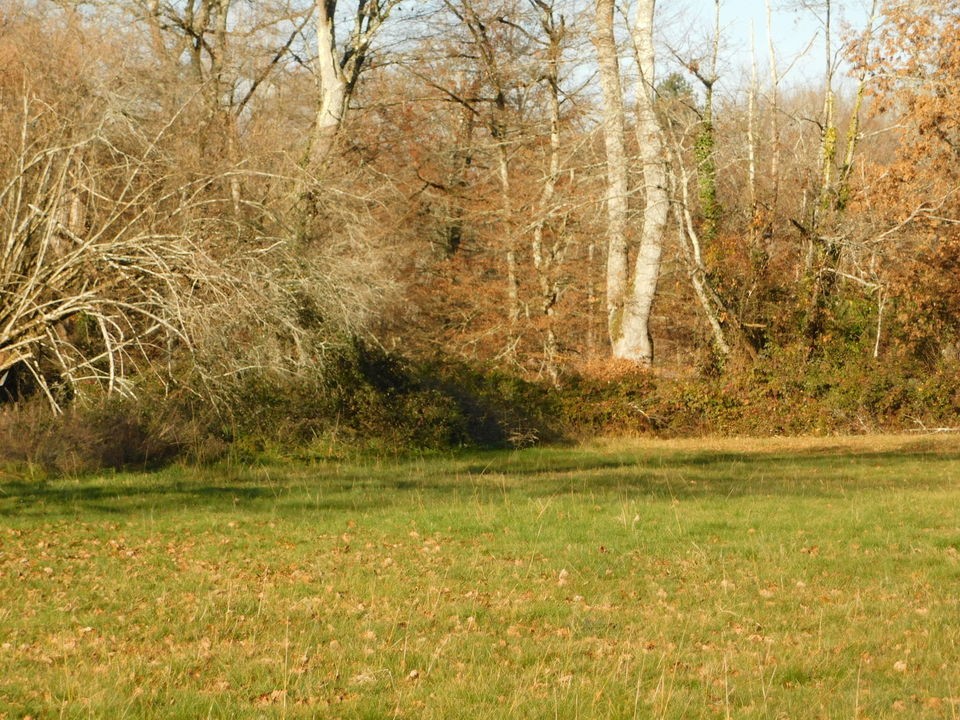 Vente Terrain à Cazaubon 0 pièce