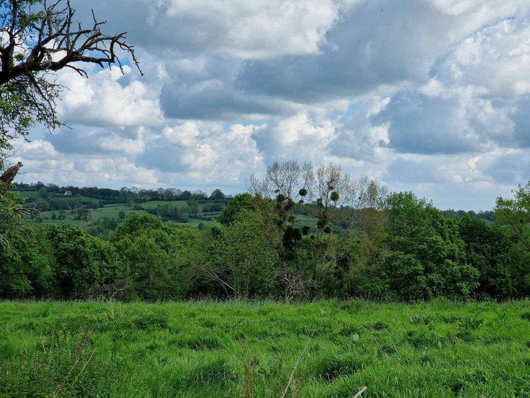 Vente Maison à Lisieux 0 pièce