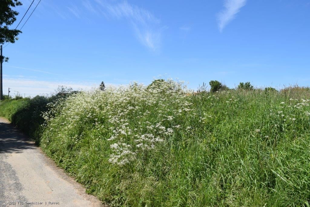 Vente Terrain à Nanteuil-en-Vallée 0 pièce