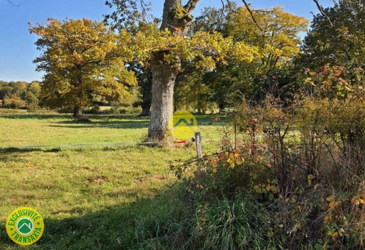 Vente Terrain à Gouzon 0 pièce