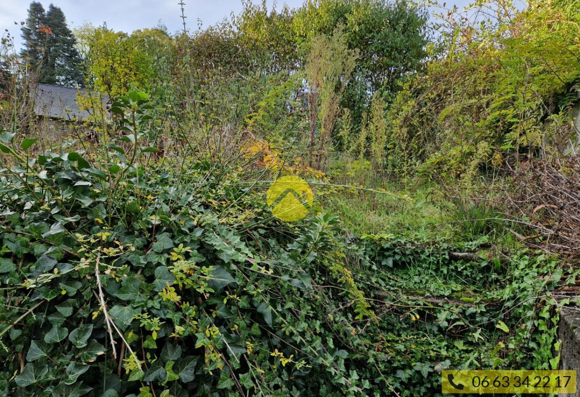 Vente Maison à la Guerche-sur-l'Aubois 3 pièces