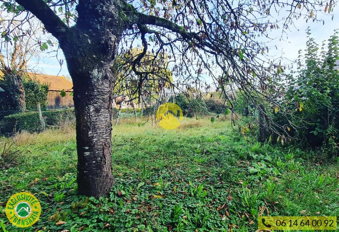 Vente Maison à les Aix-d'Angillon 4 pièces