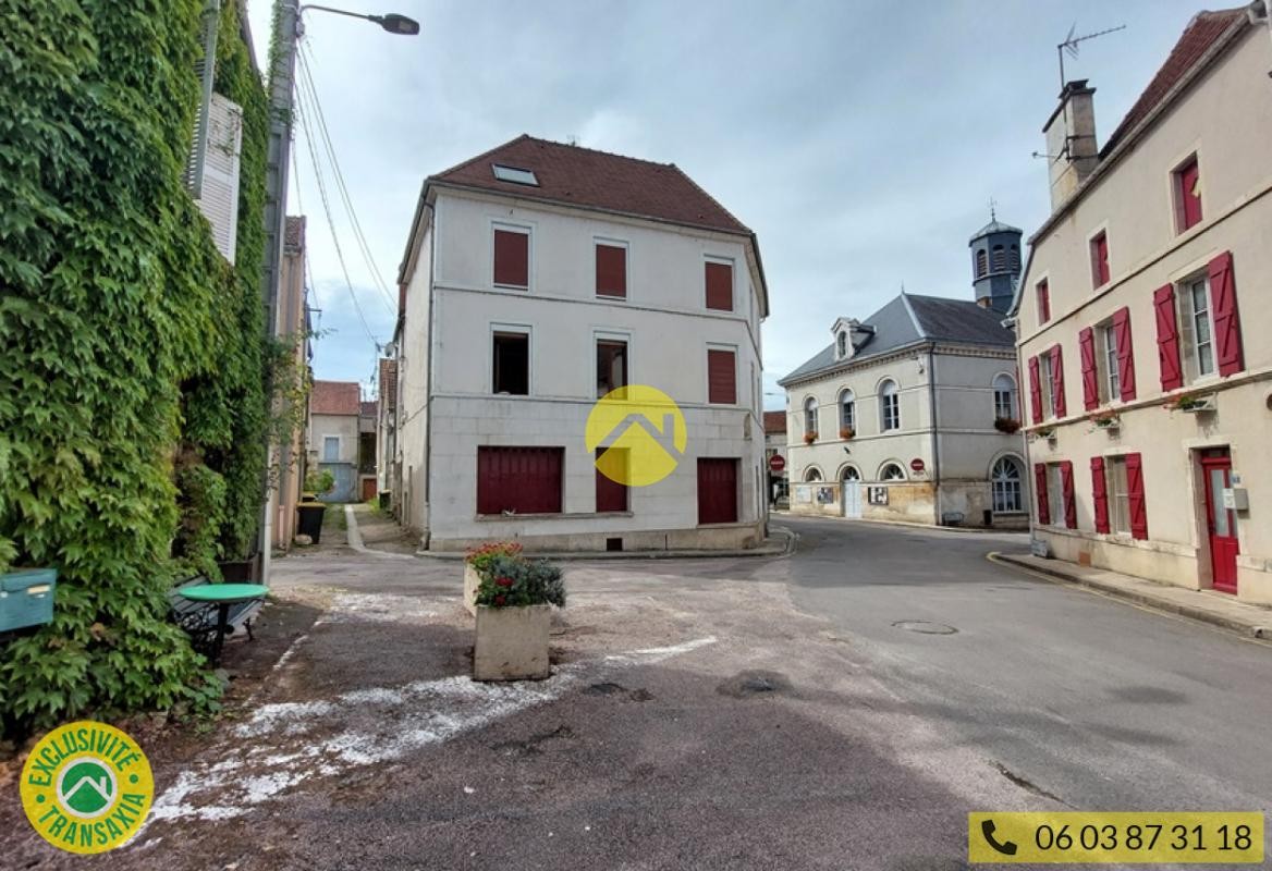 Vente Maison à Ravières 12 pièces