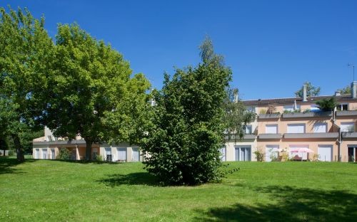 Location Appartement à Vierzon 1 pièce