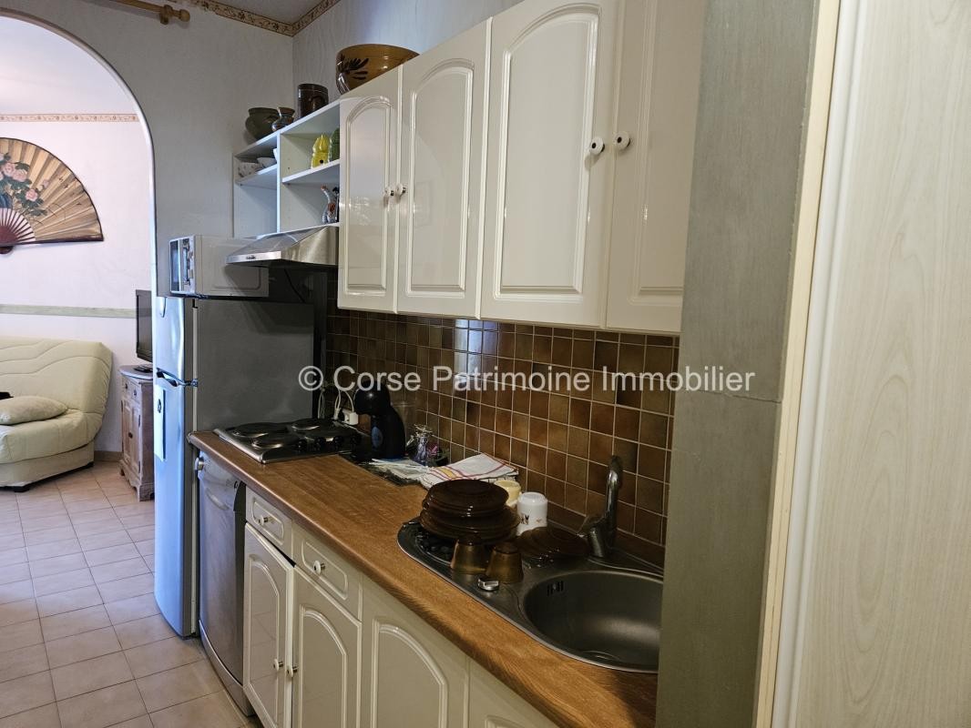 Vente Appartement à San-Nicolao 1 pièce