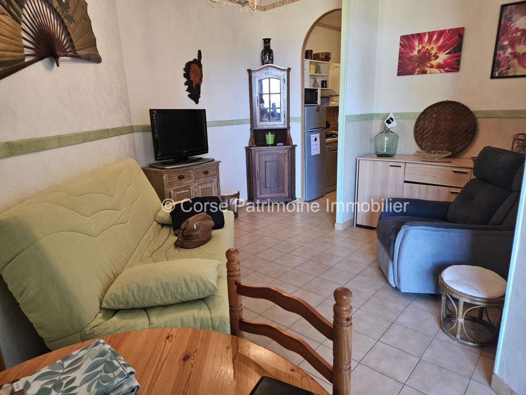 Vente Appartement à San-Nicolao 1 pièce