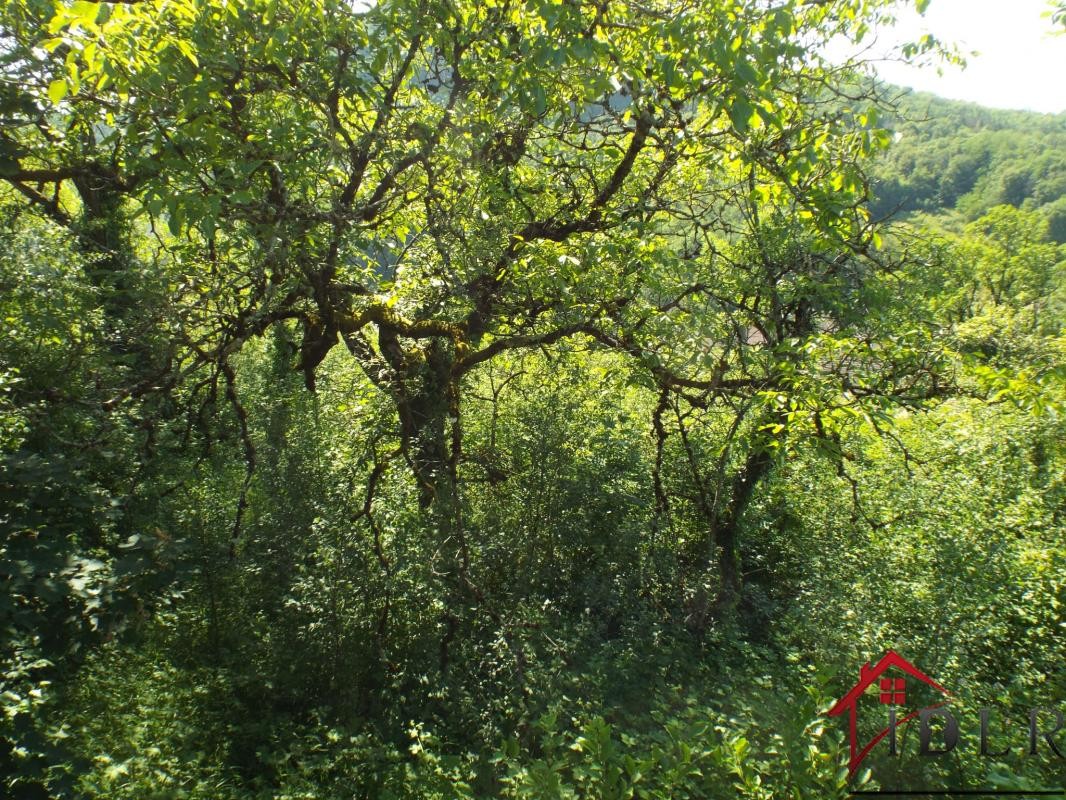 Vente Terrain à Salins-les-Bains 0 pièce