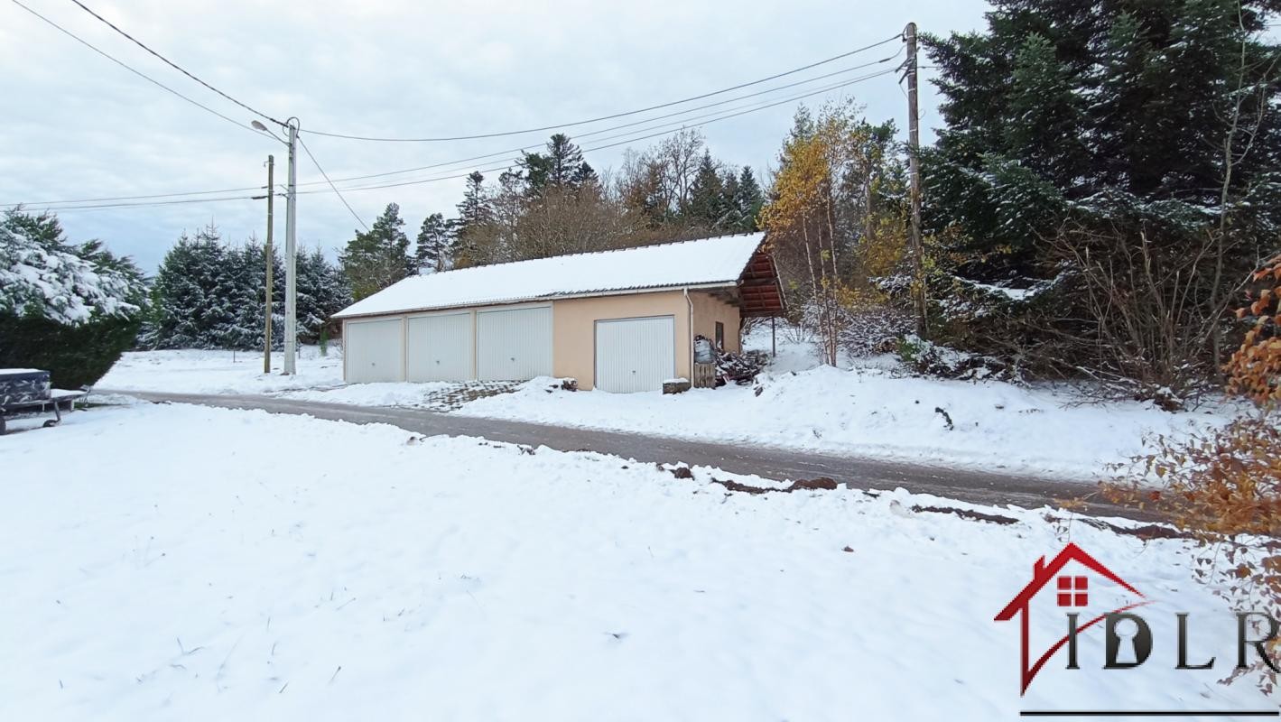 Vente Maison à Champdray 9 pièces