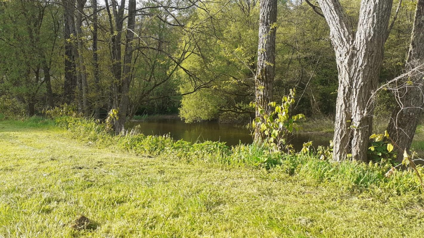 Vente Maison à Luxeuil-les-Bains 7 pièces