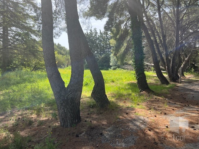 Vente Terrain à Narbonne 0 pièce