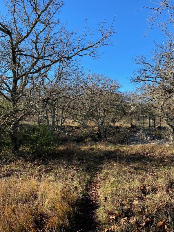 Vente Terrain à Aubenas 0 pièce