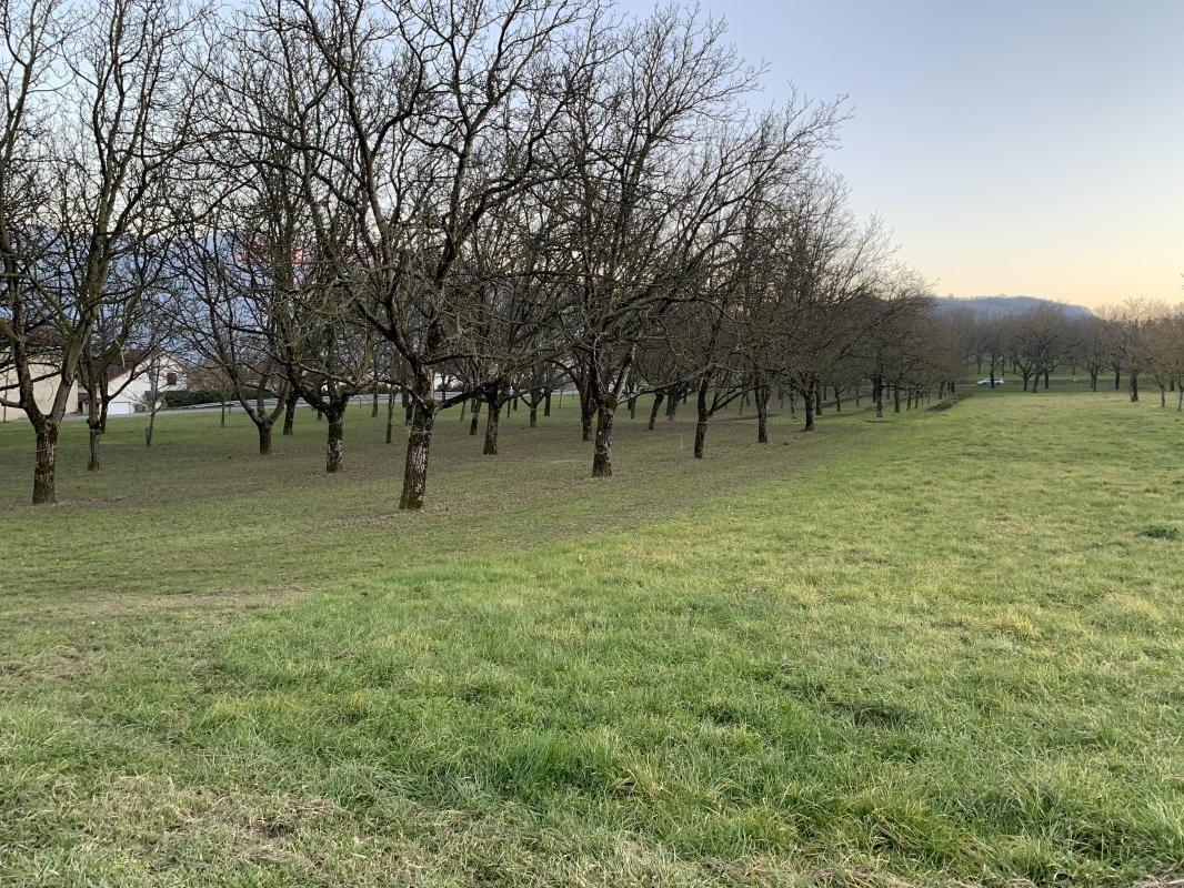 Vente Terrain à Tullins 0 pièce