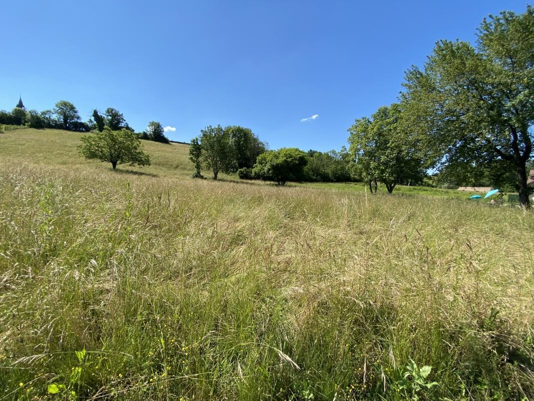 Vente Terrain à Saint-Ondras 0 pièce