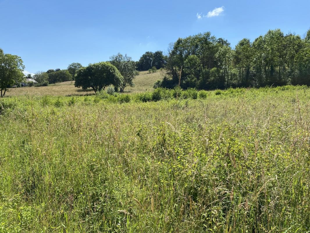 Vente Terrain à Saint-Ondras 0 pièce