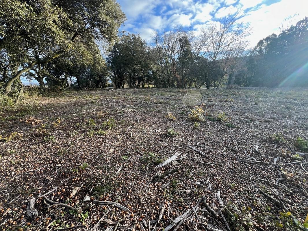 Vente Terrain à Grignan 0 pièce