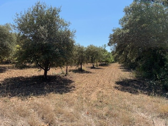 Vente Terrain à Grignan 0 pièce