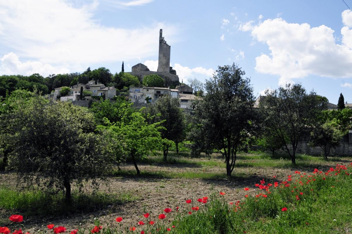 Vente Terrain à Chamaret 0 pièce