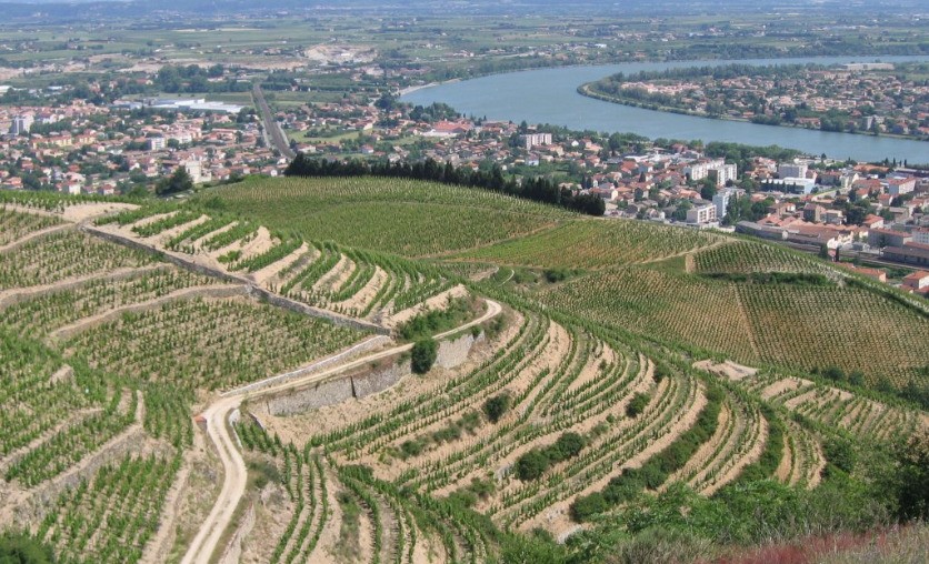 Vente Terrain à Tain-l'Hermitage 0 pièce