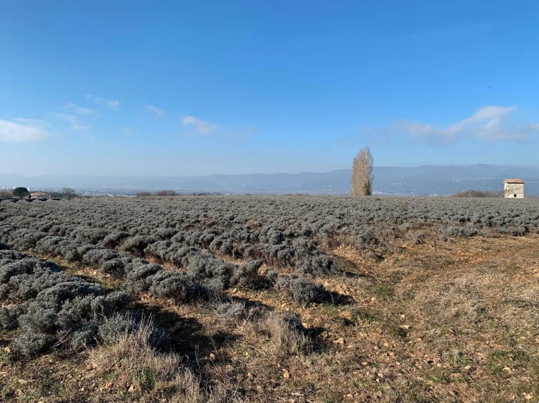 Vente Terrain à Montélimar 0 pièce