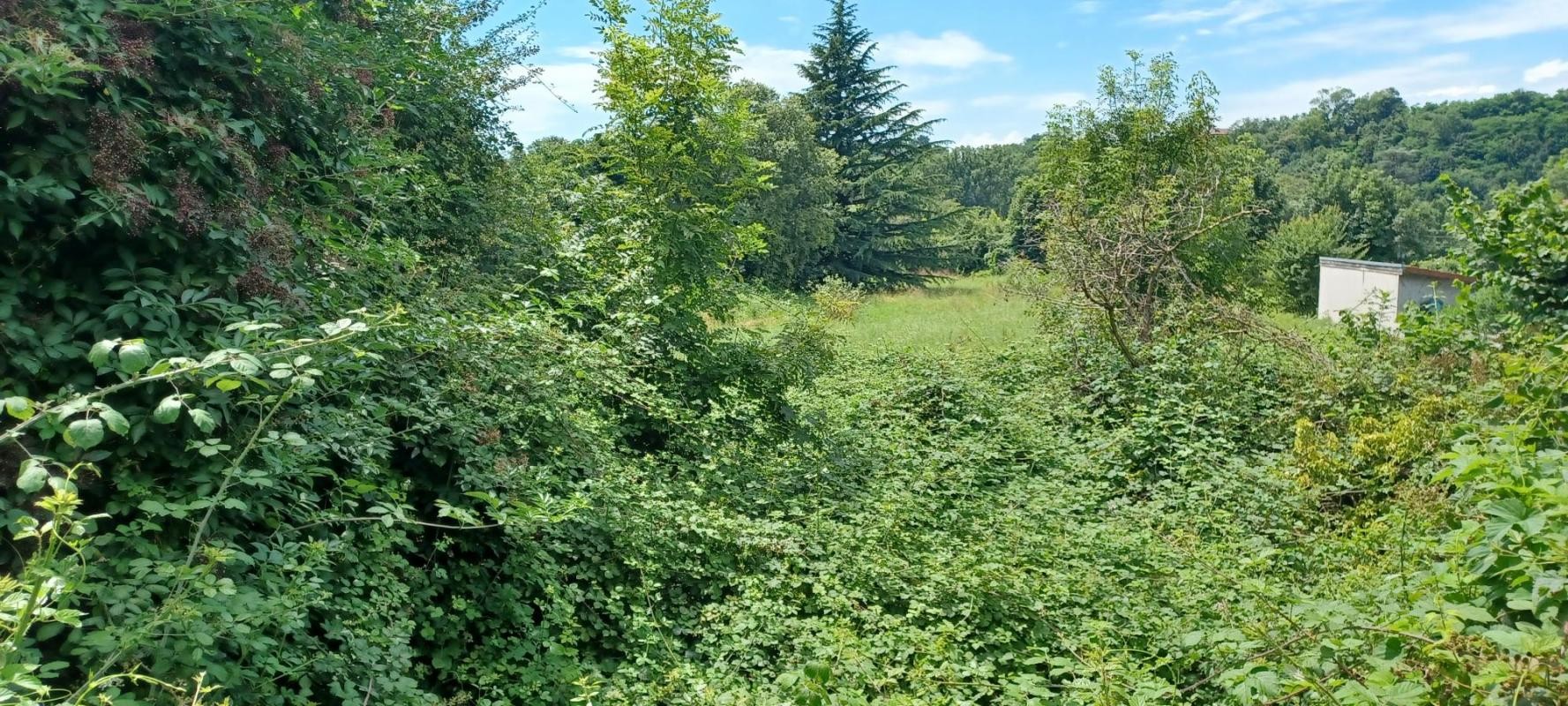 Vente Terrain à Moirans 0 pièce