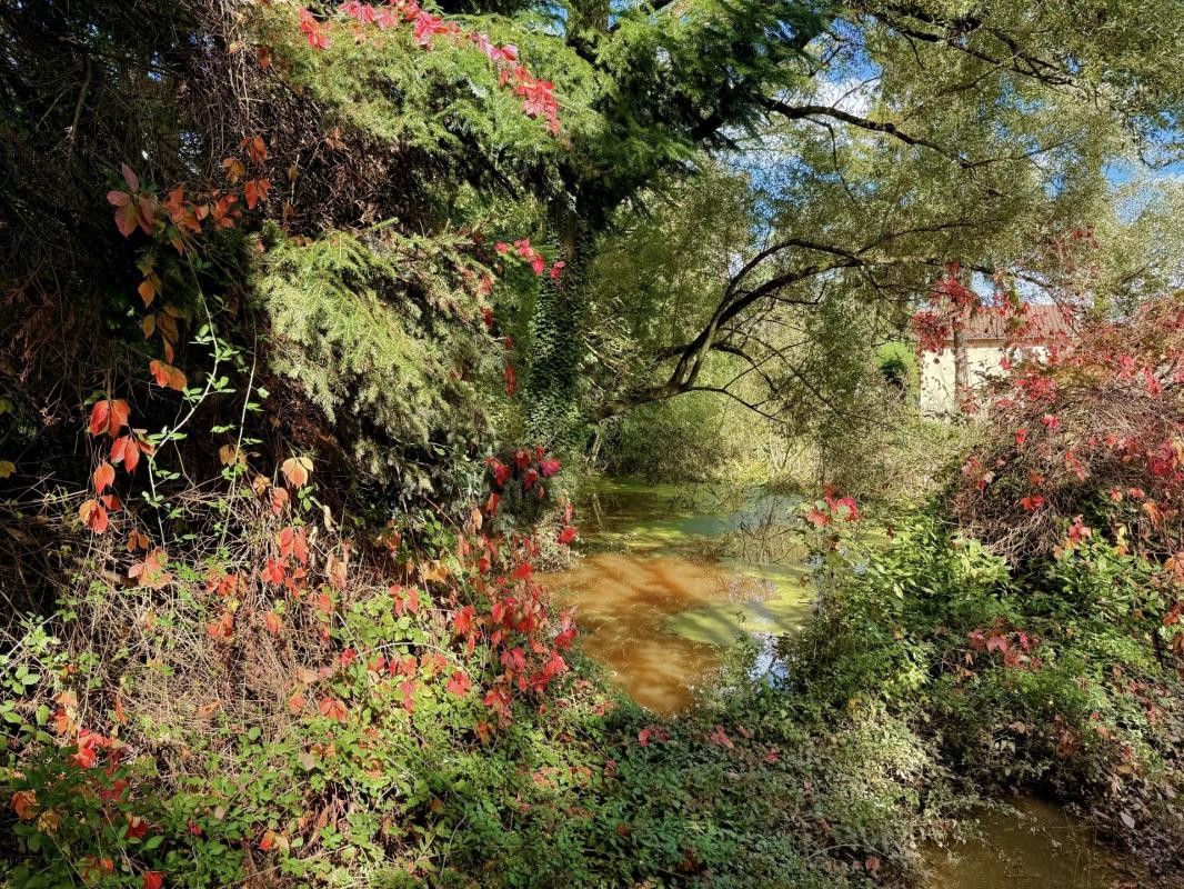 Vente Terrain à Chaponost 0 pièce