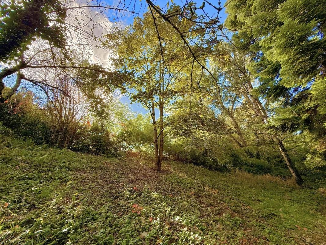 Vente Terrain à Chaponost 0 pièce