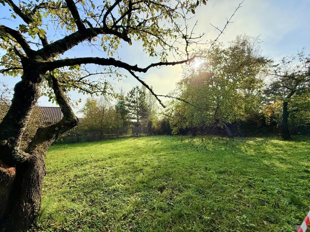 Vente Terrain à Chaponost 0 pièce