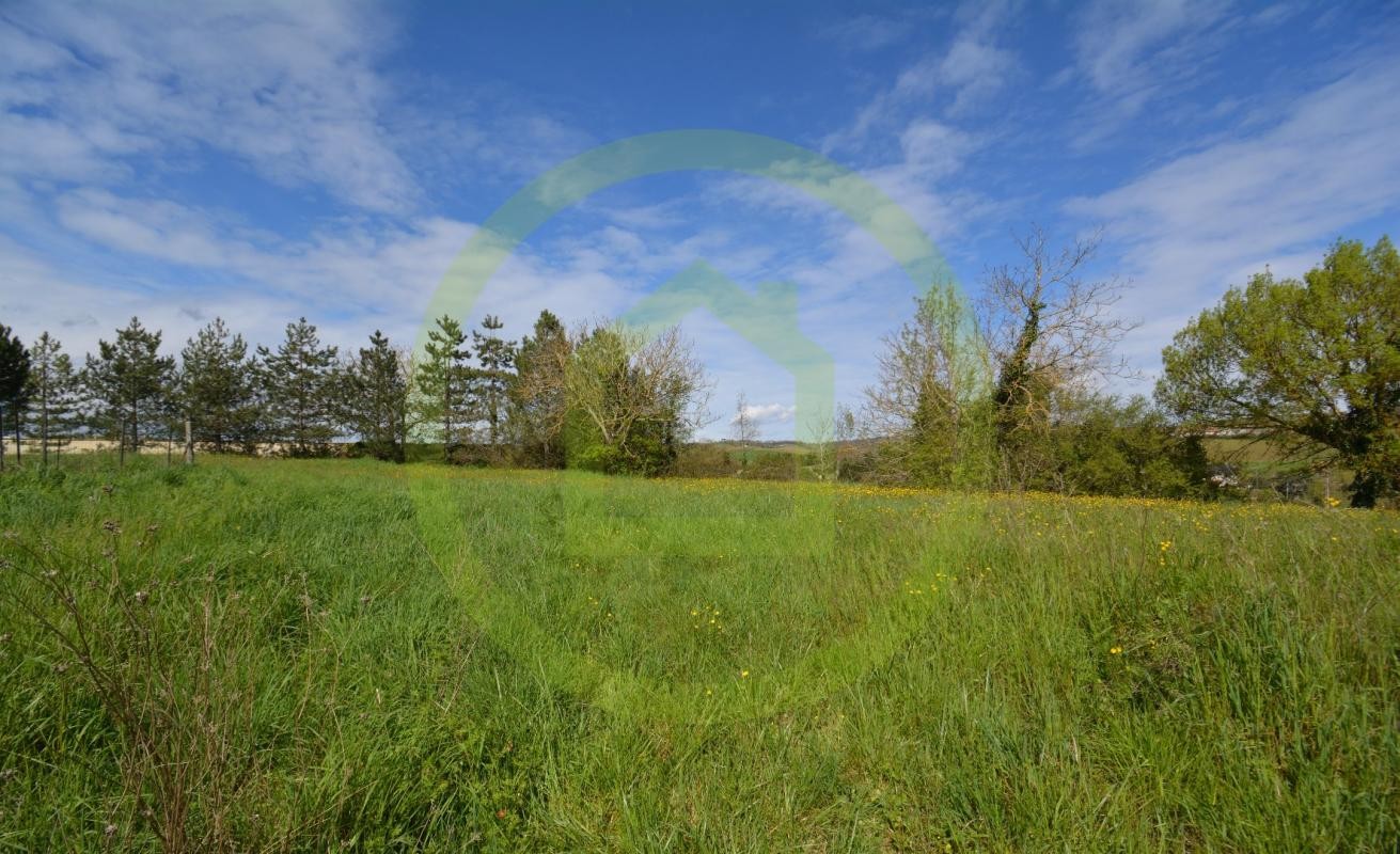 Vente Terrain à Beaumont-de-Lomagne 0 pièce