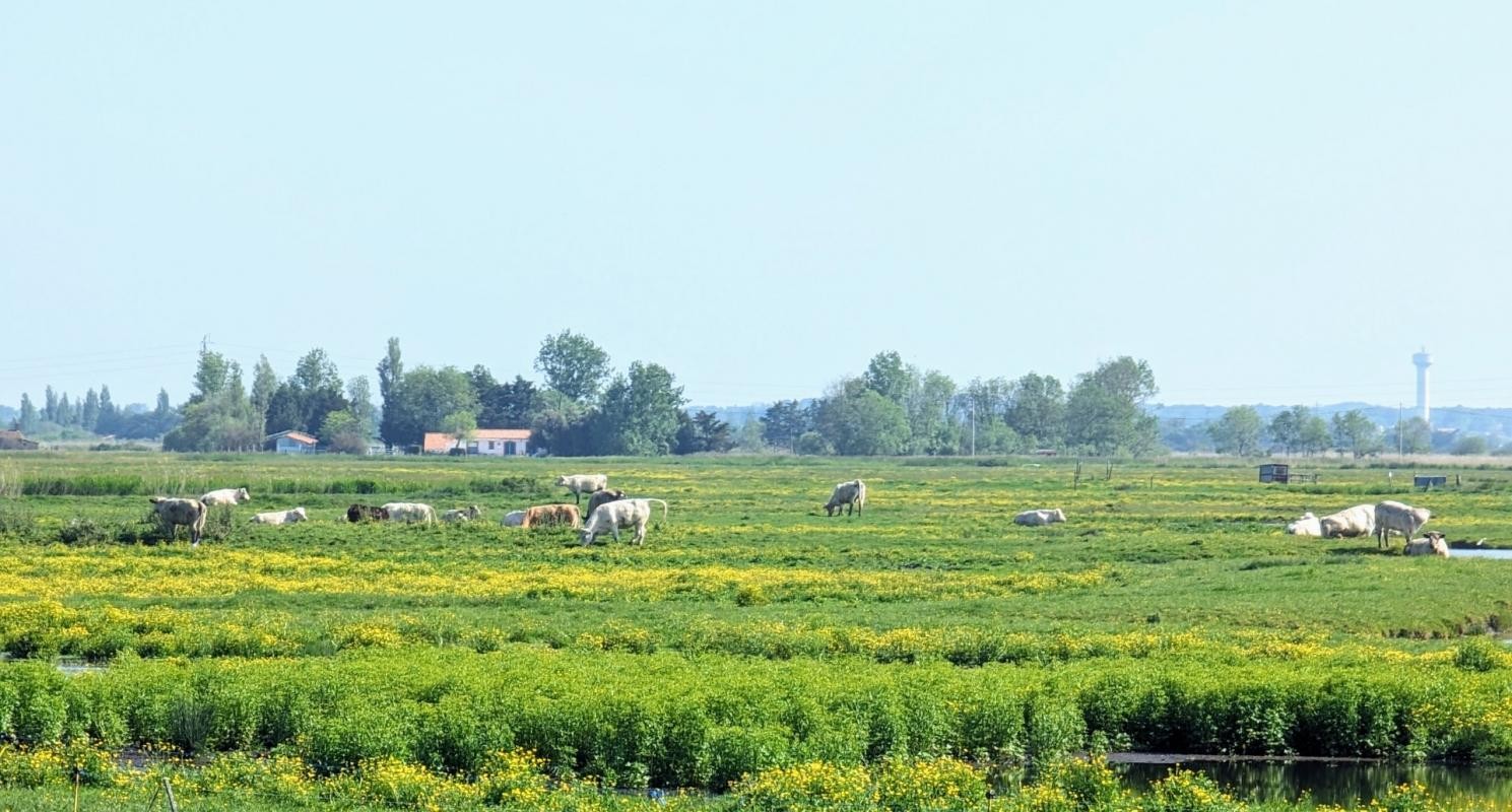 Vente Maison à Saint-Hilaire-de-Riez 8 pièces