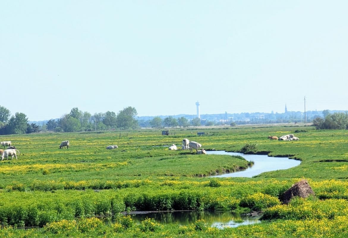 Vente Maison à Saint-Hilaire-de-Riez 8 pièces