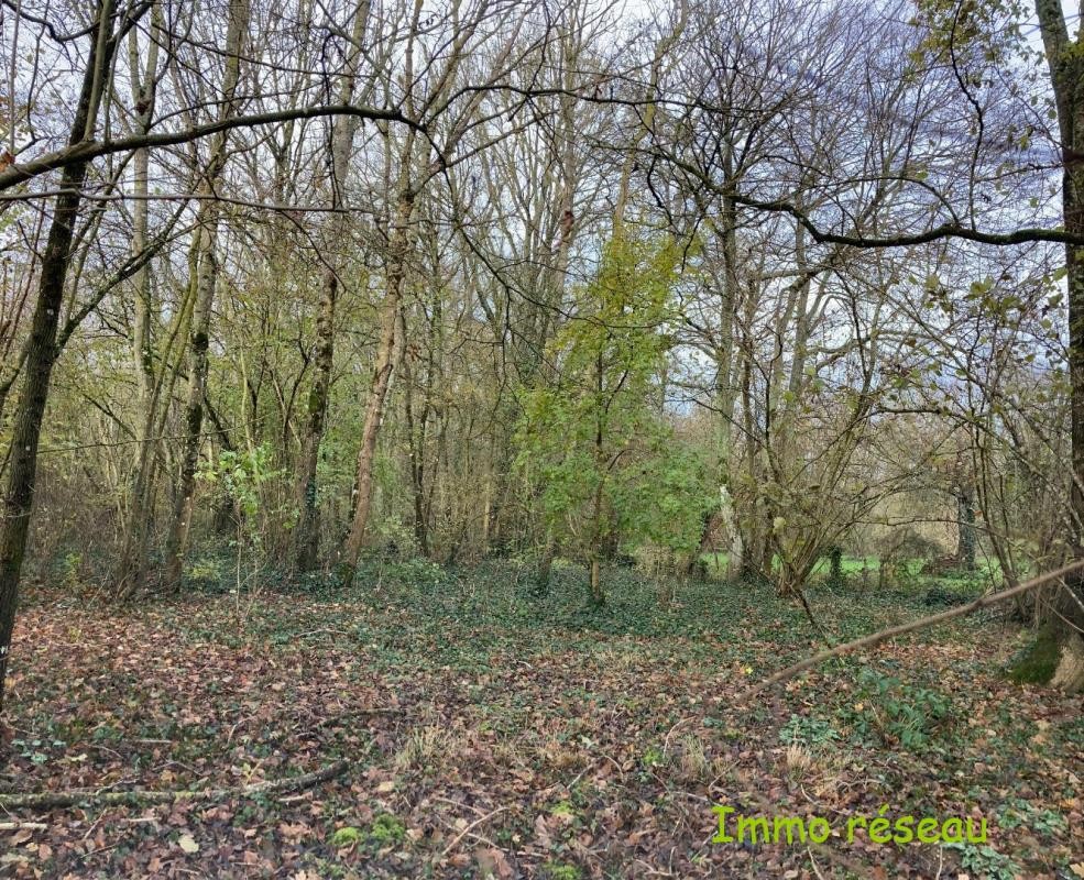 Vente Terrain à Coulommiers 0 pièce