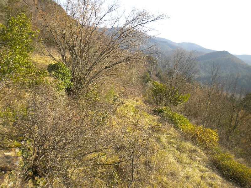 Vente Terrain à le Vigan 0 pièce