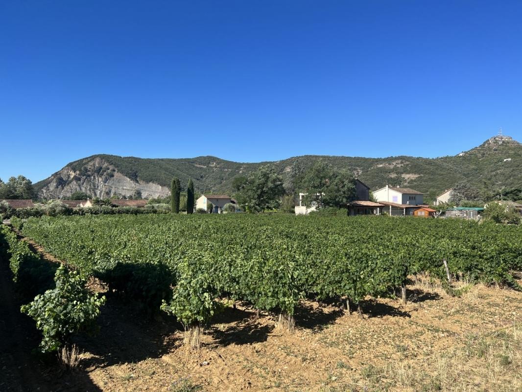 Vente Terrain à Vallon-Pont-d'Arc 0 pièce